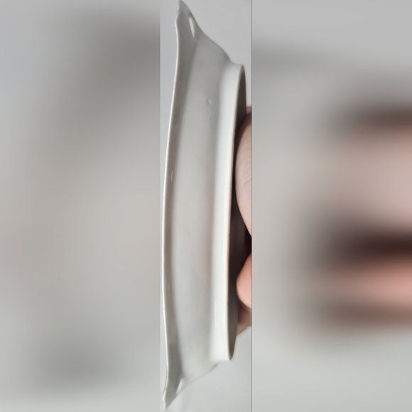 Vintage RS Tillowitz Silesia Hand Painted Butter Celery Dish White Magnolia - Picture 5 of 15